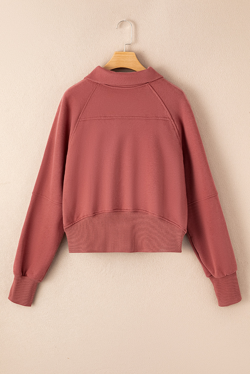 Carry Zip Up Collar Sweatshirt Brown Red