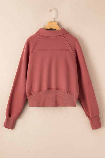 Carry Zip Up Collar Sweatshirt Brown Red