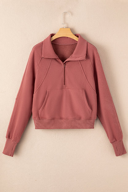 Carry Zip Up Collar Sweatshirt Brown Red