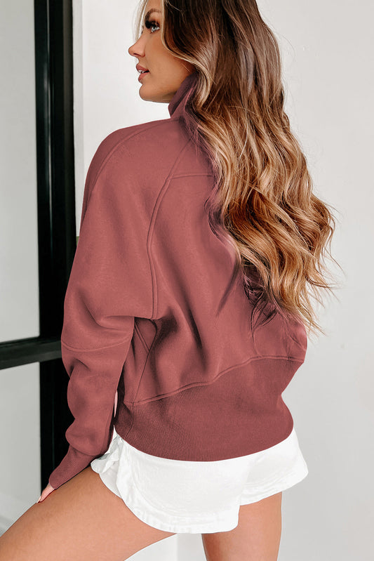 Carry Zip Up Collar Sweatshirt Brown Red